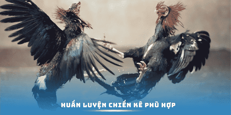 huan-luyen-chien-ke-phu-hop