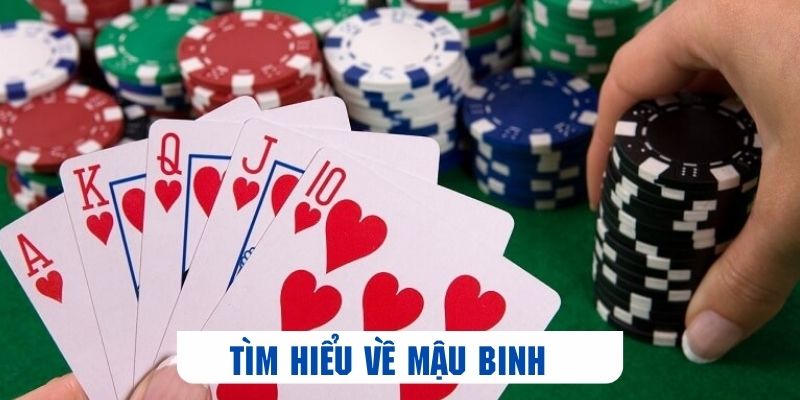 mau-binh-tim-hieu