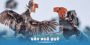 vay-ngu-quy-rr88